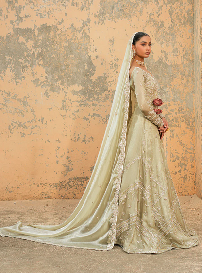 Gown Dress in Mississauga Canada - Book your consultation for price
