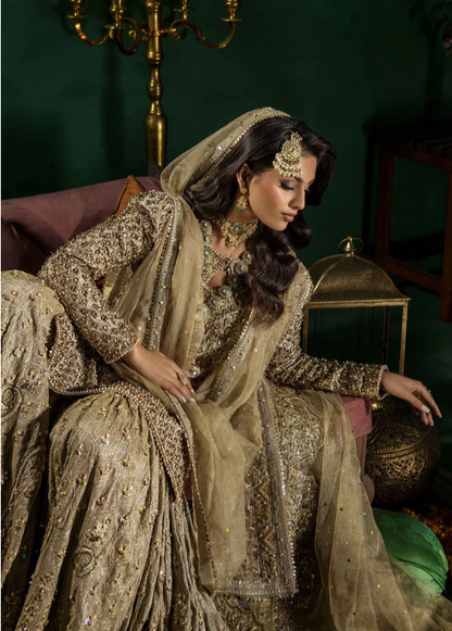 Farshi Gharara - Book your consultation for price